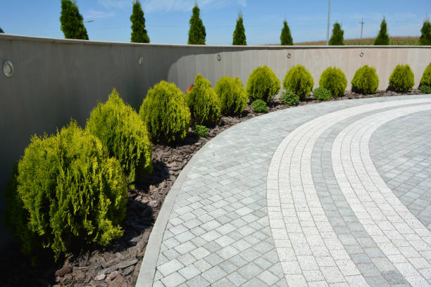 Best Decorative Driveway Pavers  in Fellsmere, FL