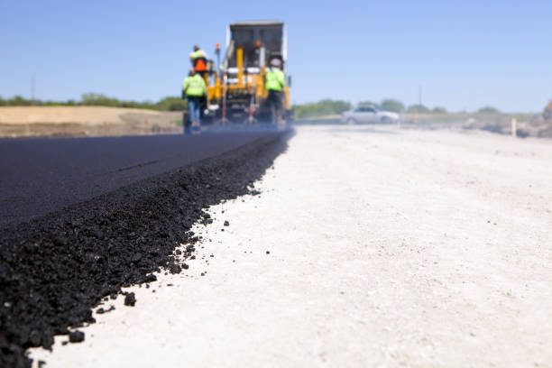 Best Professional Driveway Pavers  in Fellsmere, FL